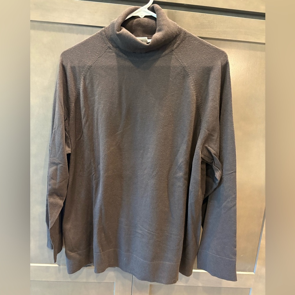 New Talbots Brown Long Sleeve Turtleneck Sweater, 1X